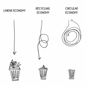 linear vs circular recycling